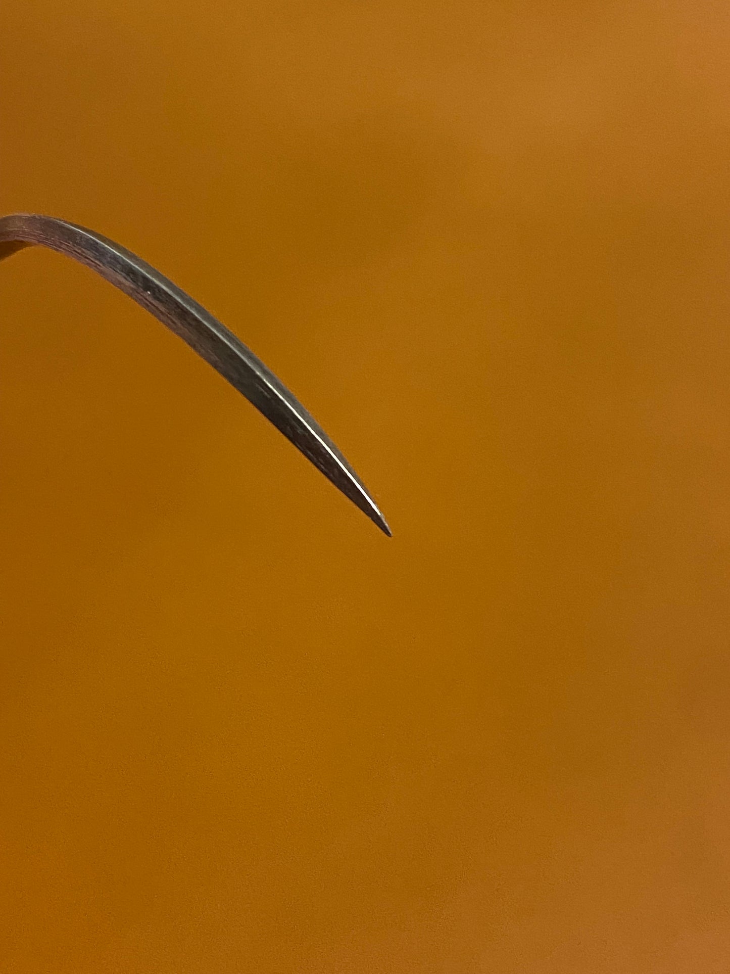 Bent swordfish needle 60 mm