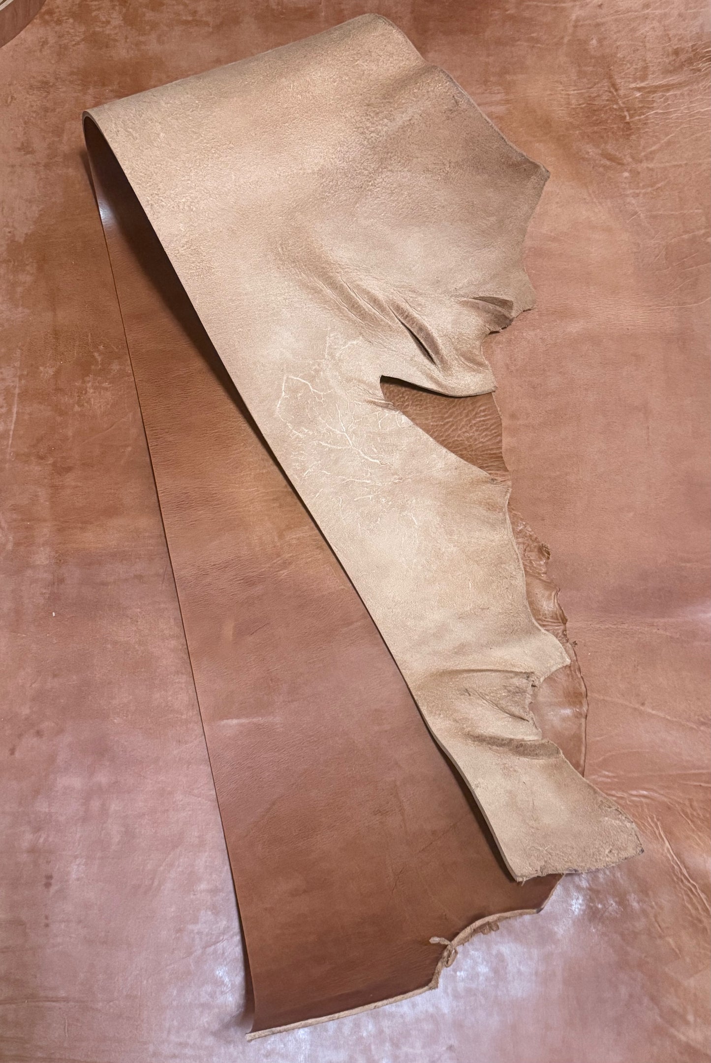 Hermann Oak „Old world russet“. Belly. Flanke. 5,5-6 mm.