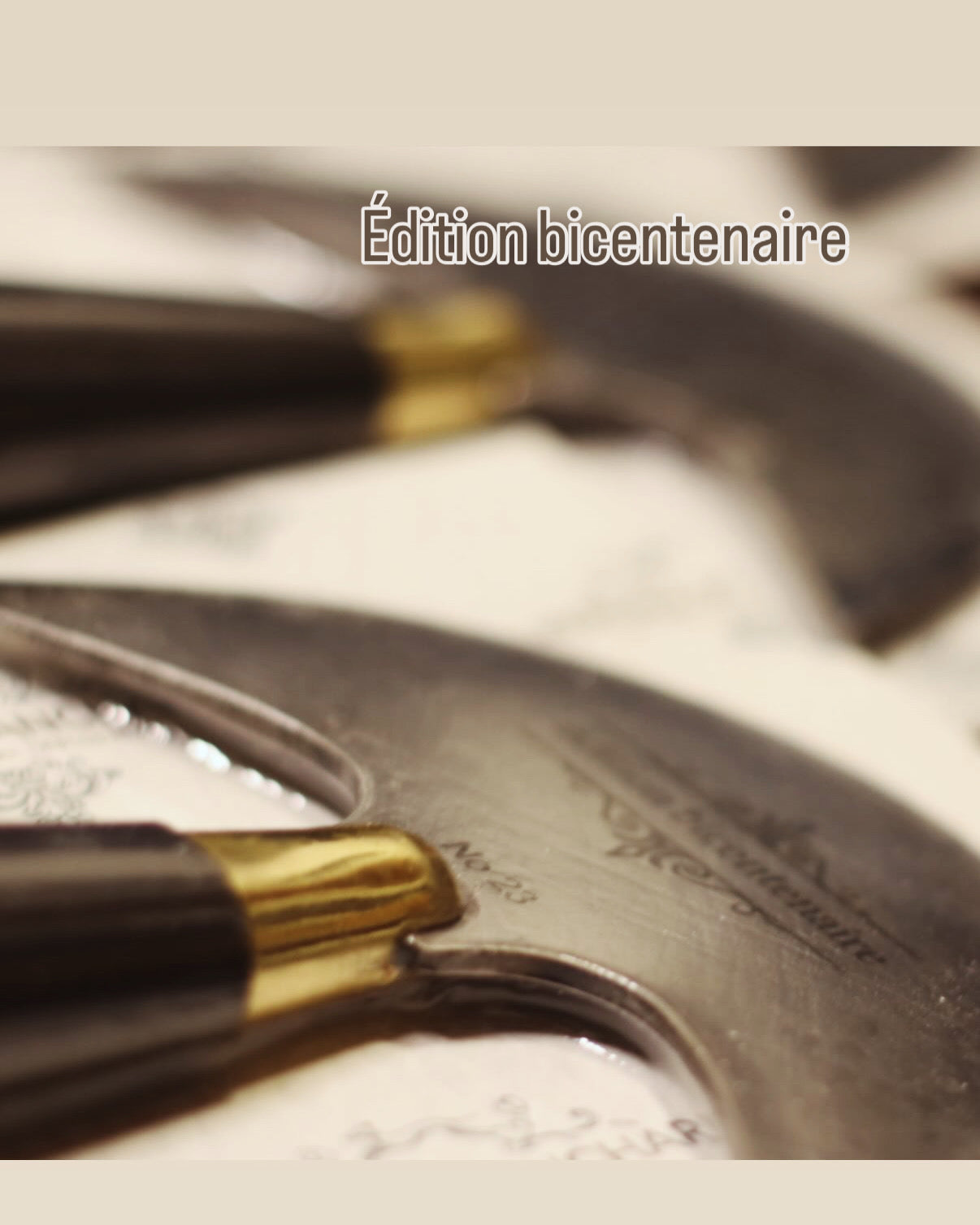 Vergez Blanchard Mezzaluna N. 1 Edizione Limitata 200 Anni Vergez Blanchard